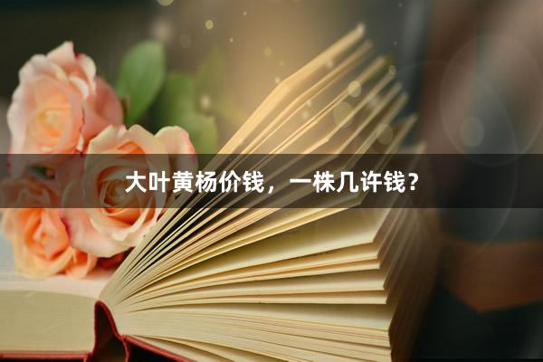 大叶黄杨价钱，一株几许钱？