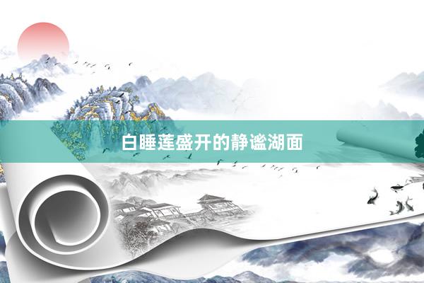 白睡莲盛开的静谧湖面