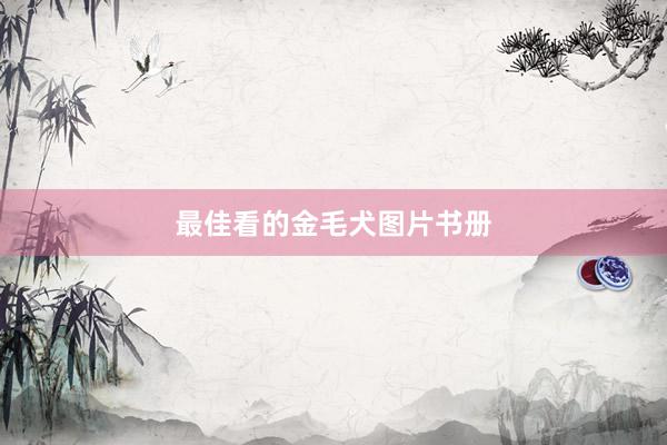 最佳看的金毛犬图片书册