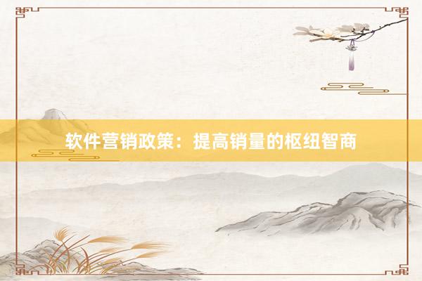软件营销政策：提高销量的枢纽智商